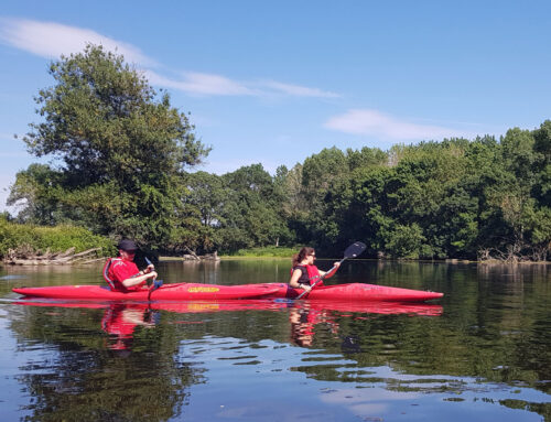 Thouet Kayaks – as close to nature as you can get